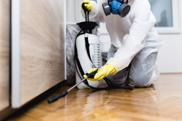 Best Pest Prevention Services  in Dewitt, MI