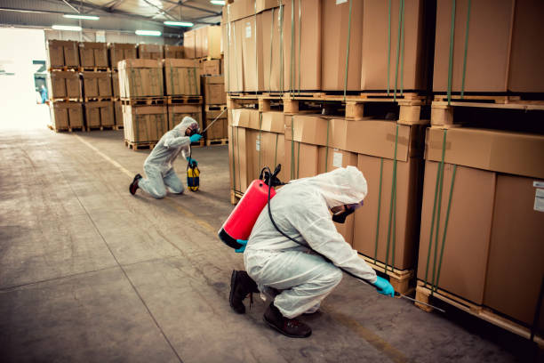 Best Pest Inspection Near Me  in Dewitt, MI