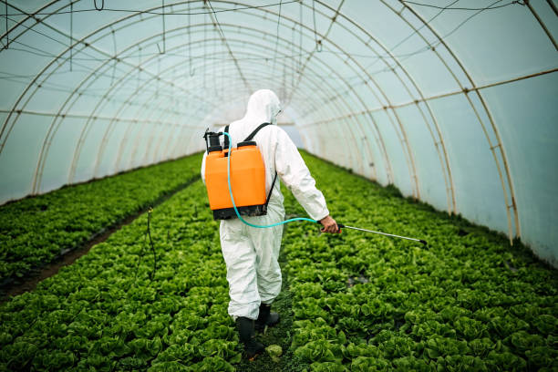 Professional Pest Control in Dewitt, MI