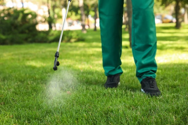 Best Commercial Pest Control Services  in Dewitt, MI