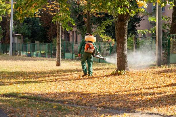 Best Pest Control Treatment  in Dewitt, MI