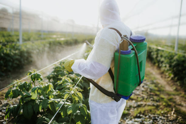 Best Best Pest Control Companies  in Dewitt, MI